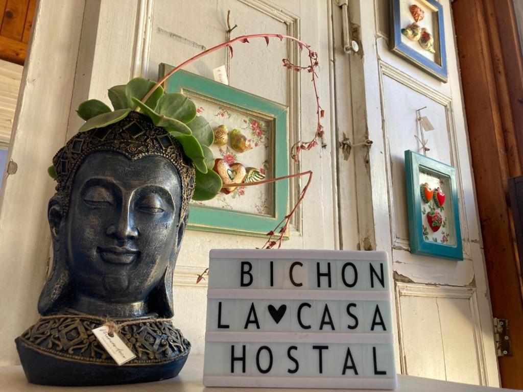 Bichon La Casa Hostal Pichilemu Eksteriør bilde