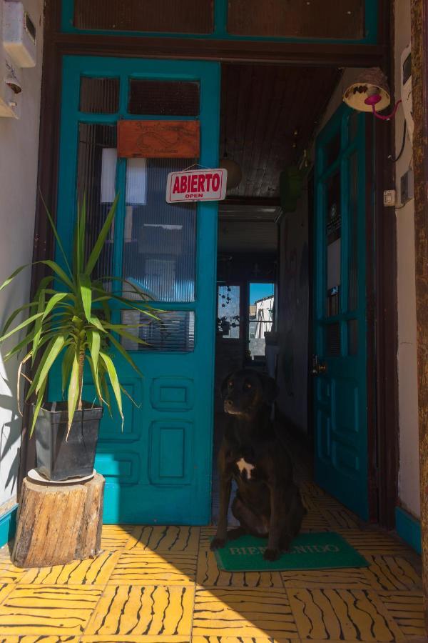 Bichon La Casa Hostal Pichilemu Eksteriør bilde